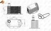 Радіатор масляний BMW 3 (E90/E93)/5 (E60/E61)/6 (E63/E64) 02-13 (теплообмінник) 31281