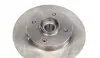 208025 Диск тормозной (задний) Citroen C4/Peugeot 207/307 05- (249х9) (+ABS) (с подшипником) (d=30) SOLGY підбір по vin на Brocar