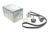 Комплект ременя генератора + помпа Audi A1/A3/Seat Ibiza/Skoda Octavia 1.4/1.6 02- PK05810