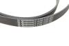 PK05810 Комплект ремня генератора + помпа Audi A1/A3/Seat Ibiza/Skoda Octavia 1.4/1.6 02- HEPU підбір по vin на Brocar