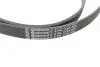 PK05810 Комплект ременя генератора + помпа Audi A1/A3/Seat Ibiza/Skoda Octavia 1.4/1.6 02- HEPU підбір по vin на Brocar