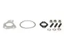 Комплект прокладок турбины Fiat Doblo 1.3D/Opel Combo 1.3TDI 10- 007.810