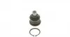 Опора кульова (передня/знизу) Renault Megane II/Scenic 02- (d=16mm) 203047