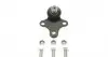 Опора кульова (передня/знизу) Citroen Berlingo/Peugeot Partner 96-08 (d=18mm) 203022