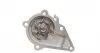 PK77660 Комплект ГРМ + помпа Hyundai Accent 1.5/1.6 95- HEPU підбір по vin на Brocar