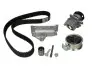 Комплект ГРМ + помпа VW Passat 1.9 TDI 98-10 PK05501
