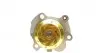 PK05470 Комплект ГРМ + помпа VW Caddy 2.0 EcoFuel 06-15 HEPU підбір по vin на Brocar