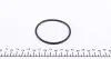 PA617 Помпа води VW Golf/Jetta/Passat/T4 2.8/2.8-2.9 VR6/3.2 92-06/Ford Galaxy 2.8 VR6 96-01 (R/B) (8 лоп) GRAF підбір по vin на Brocar