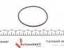 PA442 Помпа води Opel Astra F/G/Combo/Corsa A/B/Kadett D/E/Vectra 1.4/1.6/i/Si 79-04 (19z) (B/B) (8 лоп) GRAF підбір по vin на Brocar