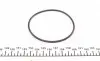 PA442 Помпа води Opel Astra F/G/Combo/Corsa A/B/Kadett D/E/Vectra 1.4/1.6/i/Si 79-04 (19z) (B/B) (8 лоп) GRAF підбір по vin на Brocar