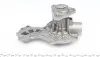 PA146 Помпа воды Audi 80/100/VW Golf I/Jetta I/Passat/T2/T3 1.3-1.7/1.6D/TD 72-92 (B/B) (6лоп) GRAF підбір по vin на Brocar