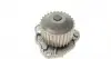 P802 Помпа води Citroen C5/C6/C8/Peugeot 406/407/607/Renault Clio/Laguna 3.0 V6 01- HEPU підбір по vin на Brocar