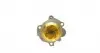 P646 Помпа води VW Polo/Skoda Fabia 1.9SDI 00-09 HEPU підбір по vin на Brocar