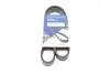 Ремень генератора VW Polo/Up 11-/Skoda Fabia 14-/Seat Ibiza 1.0/1.6  15- (6PK989) 989SK6