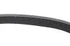 989SK6 Ремінь генератора VW Polo/Up 11-/Skoda Fabia 14-/Seat Ibiza 1.0/1.6 15- (6PK989) HUTCHINSON підбір по vin на Brocar