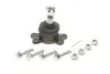 Кульова опора нижня Ssang Yong Kyron/Rexton 2.0D-3.2 04.02- TC3389