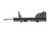 Амортизатор передній 1,5dci/1.6 16V Kangoo II 2008- 543029762R