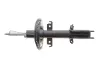 543029762R Амортизатор передній 1,5dci/1.6 16V Kangoo II 2008- RENAULT підбір по vin на Brocar