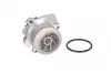 D1W058TT Насос охлаждающей жидкости AUDI A1, A4, A4 ALLROAD, A5, A6, Q3, Q5, TT, SEAT ALHAMBRA, VW AMAROK, BEETLE, CADDY III, CC, CRAFTER 30-35, CRAFTER 30-50, JETTA IV, PASSAT, PASSAT ALLTRACK 1.6D/2.0D 09.07 THERMOTEC підбір по vin на Brocar