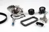 PK09020XT Комплект ГРМ + помпа Citroen Jumpy/Peugeot Expert 2.0HDI 10-(166x25)(+ ланцюг разпредвала) HEPU підбір по vin на Brocar