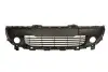 6502076004910P Atrapa zderzaka przód (z otworami na halogeny) RENAULT TWINGO 09.14- BLIC підбір по vin на Brocar