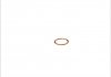 Уплотнительное кольцо, резьбовая пр, Уплотнительное кольцо 813133