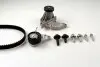 Комплект ГРМ + помпа Ford Focus 98-12/Fiesta 1.4/1.6 96-08 (117x22)(помпа P235) PK02350