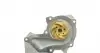 PK02550 Комплект ГРМ + помпа Ford Mondeo/Focus 1.4/1.6i 03- (117x22) HEPU підбір по vin на Brocar