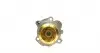 PK05541 Комплект ГРМ + помпа Skoda Fabia 1.9TDI 00-08/VW 1.4TDI 99-05/Audi A2 1.4TDI 00-05 (120x30) HEPU підбір по vin на Brocar