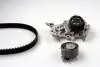 Комплект ГРМ + помпа Renault Clio/Kangoo 1.2 16V 01- (95x23.4)(помпа P954S) PK09540S