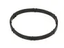 Прокладка коллектора впускного Citroen Jumpy/Peugeot Expert 2.0 07- 687650