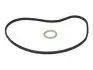 359200 Прокладка помпи води BMW 5 (E60)/7 (E65/E66/E67/F01-F04) 01-15 N62/N73/N74 ELRING підбір по vin на Brocar