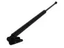 8155460 Амортизатор кришки багажника Mazda CX-7 06-14 (L) (SUV) LESJOFORS підбір по vin на Brocar