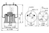1DK22E13 Подушка пневмопідвіски PHOENIX підбір по vin на Brocar