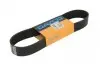 11PK815HD Поликлиновый ремень (11PK815) DAYCO підбір по vin на Brocar