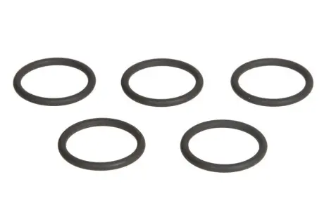 ENT250244 Форсунка common rail, елементи ENGITECH підбір по vin на Brocar