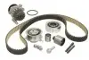 Комплект ГРМ + помпа VW T5/ Caddy/Crafter 1.6TDI-2.0TDI 09- KDP457730