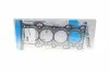Прокладка ГБЦ Ford Focus/Galaxy/Mondeo 2.0 EcoBoost 12- 611011900