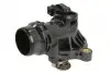 TERMOSTAT, PLYN CHLODZACY D2B005TT