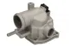 TERMOSTAT, PLYN CHLODZACY D2M007TT