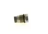 1110010012 Елемент насосу Common Rail BOSCH підбір по vin на Brocar