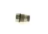 1110010012 Елемент насосу Common Rail BOSCH підбір по vin на Brocar