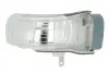 Повторювач повороту на дзеркало VW Touran 03-10 (L) 54030103811P