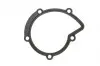 394280 Прокладка помпи води Citroen Jumper/Jumpy/Peugeot Boxer/Expert 2.0/2.2 HDi 02- ELRING підбір по vin на Brocar
