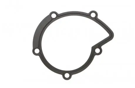 394280 Прокладка помпи води Citroen Jumper/Jumpy/Peugeot Boxer/Expert 2.0/2.2 HDi 02- ELRING підбір по vin на Brocar