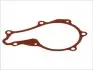 Прокладка помпи води Citroen Berlingo/Peugeot Partner 1.6 HDi 08- 569350