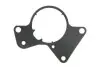 Прокладка паливного насоса VW T5 2.5TDI 116692