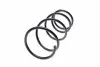 4092591 Пружина (передня) Toyota Rav4 II 2.0D 4WD 01-05 (SUV) LESJOFORS підбір по vin на Brocar