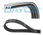 3PK590 Поликлиновой ремень DAYCO підбір по vin на Brocar
