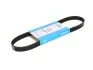 Ремінь генератора Smart 0.8cdi 5PK768